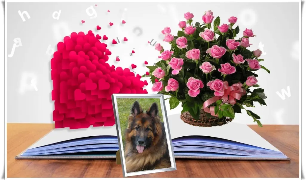Condolence image of Dzień Dobry❤️❤️❤️mój Ukochany❤️❤️❤️❤️❤️Misieńku❤️❤️❤️