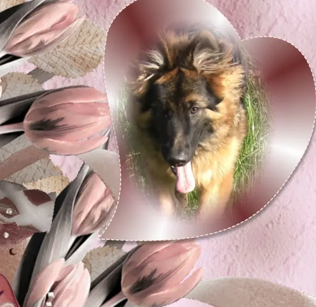 Condolence image of Dzień Dobry❤️❤️❤️mój Ukochany❤️❤️❤️❤️❤️Misieńku❤️❤️❤️