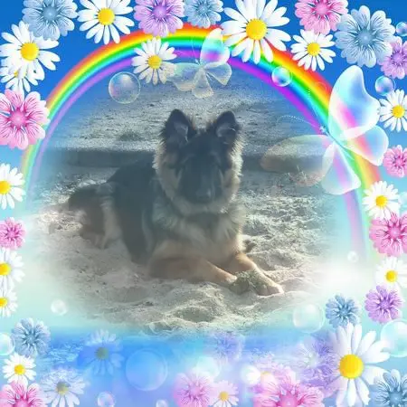 Condolence image of Dzień Dobry❤️❤️❤️mój Ukochany❤️❤️❤️❤️❤️Misieńku❤️❤️❤️
