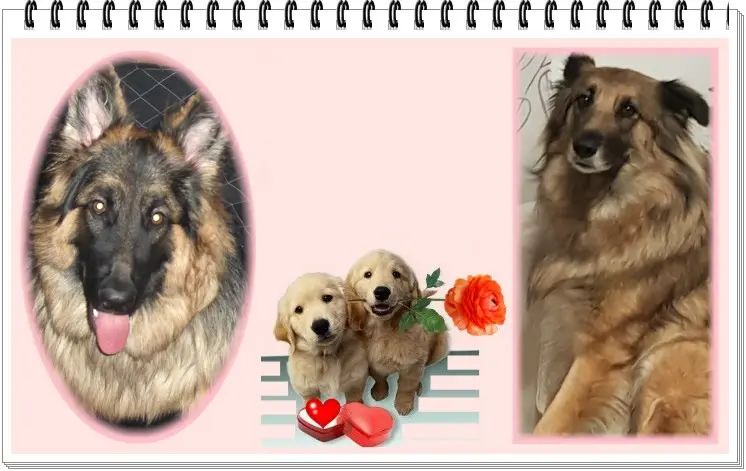 Condolence image of Dzień Dobry❤️❤️❤️mój Ukochany❤️❤️❤️❤️❤️Misieńku❤️❤️❤️