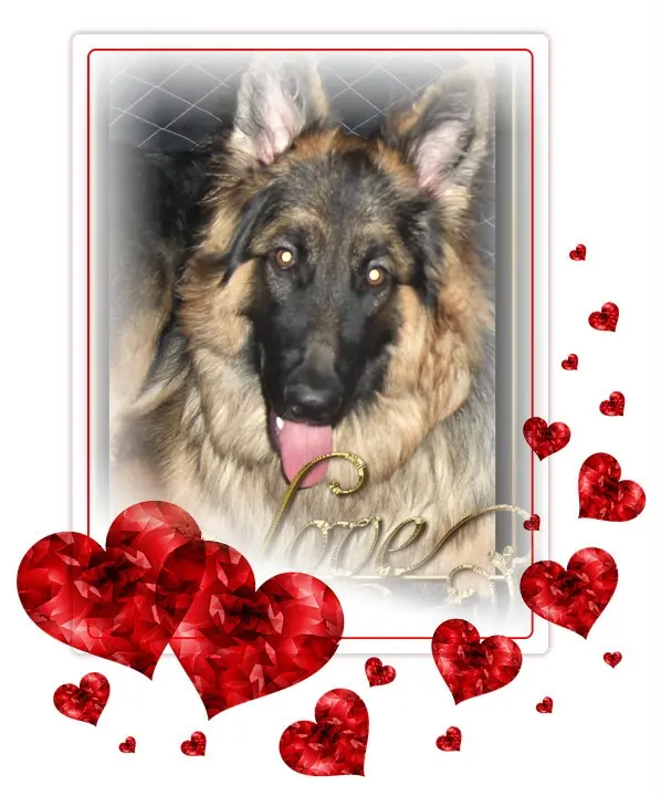Condolence image of Dzień Dobry❤️❤️❤️mój Ukochany❤️❤️❤️❤️❤️❤️❤️Misieńku❤️❤️❤️