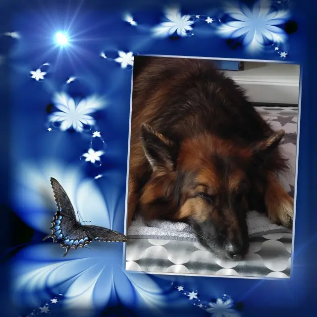 Condolence image of Dobrej Nocki❤️❤️❤️❤️❤️❤️mój Ukochany❤️❤️❤️❤️❤️❤️Misieńku❤️❤️❤️