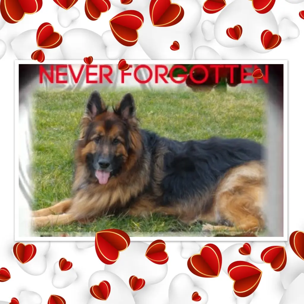 Condolence image of Dzień Dobry❤️❤️❤️mój Ukochany❤️❤️❤️❤️❤️❤️❤️Misieńku❤️❤️❤️