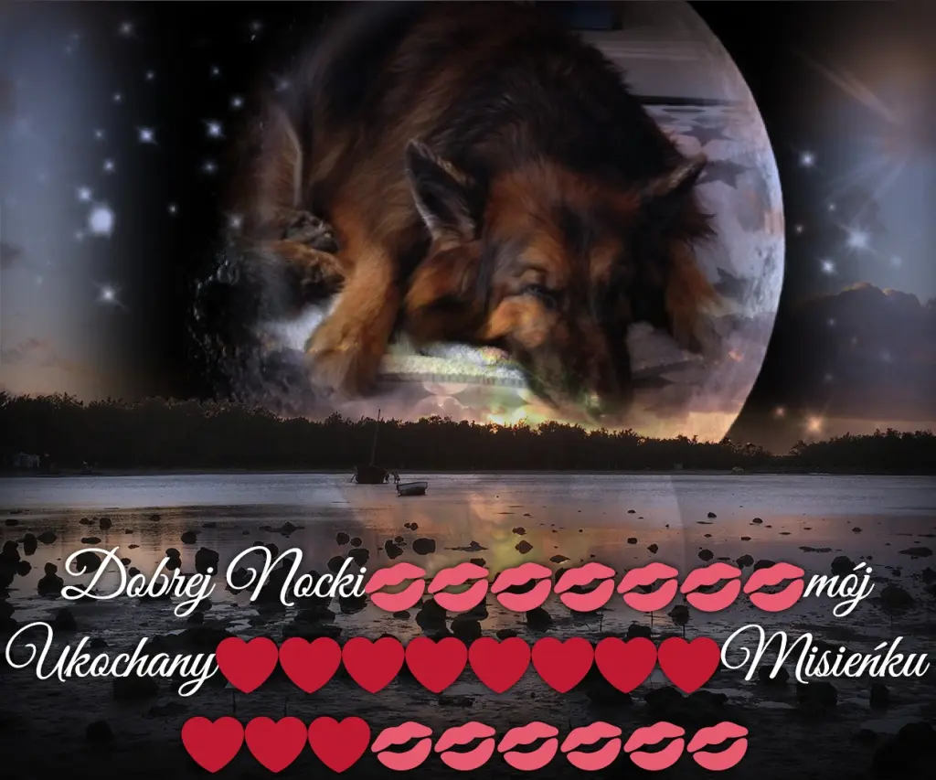 Condolence image of Dobrej Nocki❤️❤️❤️❤️❤️❤️mój Ukochany❤️❤️❤️❤️❤️❤️Misieńku❤️❤️❤️