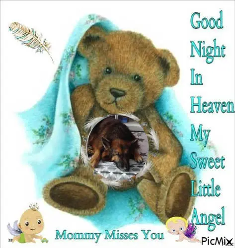 Condolence image of Dobrej Nocki❤️❤️❤️❤️❤️❤️mój Ukochany❤️❤️❤️❤️❤️❤️Misieńku❤️❤️❤️