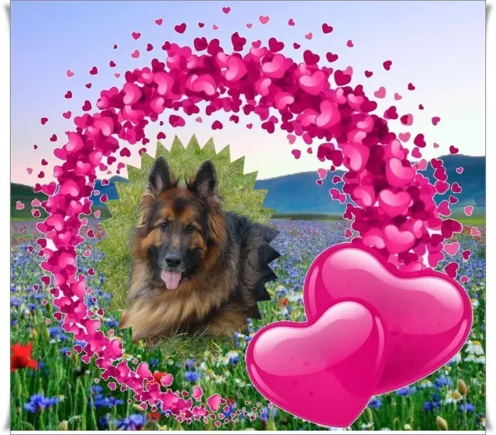 Condolence image of Dzień Dobry❤️❤️❤️mój Ukochany❤️❤️❤️❤️❤️❤️❤️Misieńku❤️❤️❤️