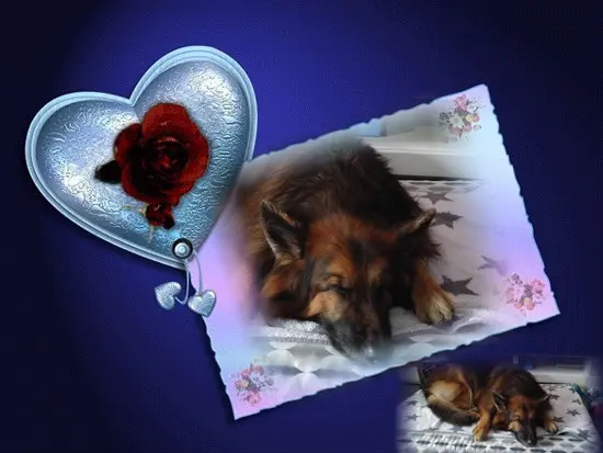 Condolence image of Dobrej Nocki❤️❤️❤️❤️❤️❤️mój Ukochany❤️❤️❤️❤️❤️❤️Misieńku❤️❤️❤️