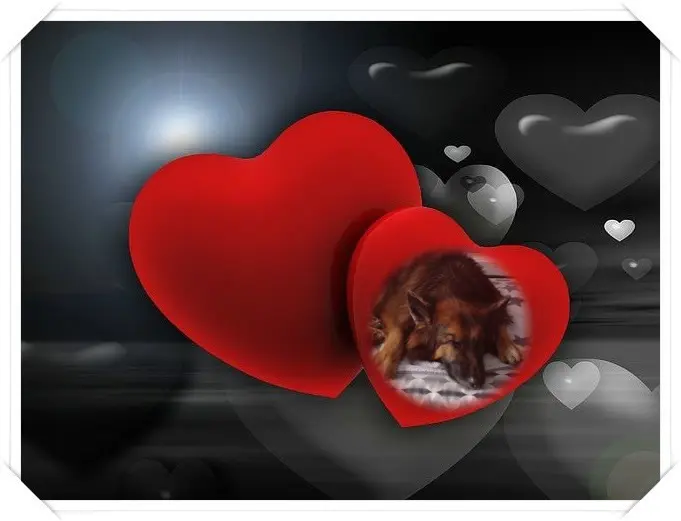 Condolence image of Dobrej Nocki❤️❤️❤️❤️❤️❤️mój Ukochany❤️❤️❤️❤️❤️❤️Misieńku❤️❤️❤️