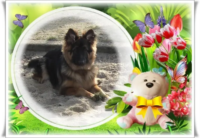 Condolence image of Dzień Dobry❤️❤️❤️mój Ukochany❤️❤️❤️❤️❤️❤️❤️Misieńku❤️❤️❤️
