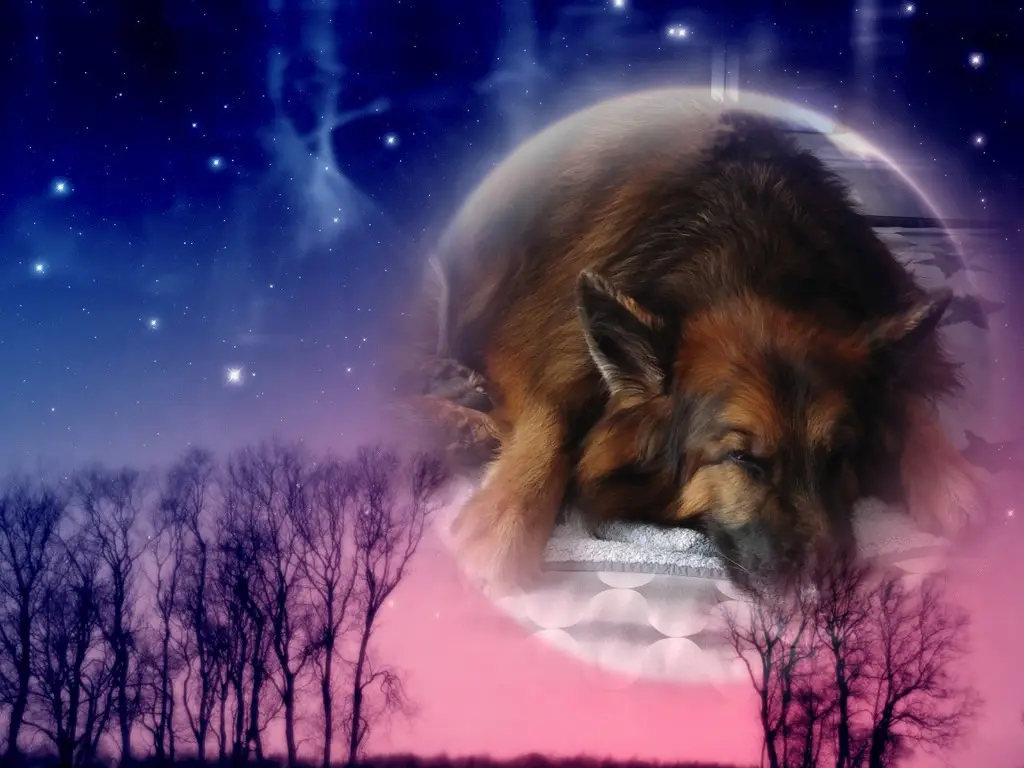 Condolence image of Dobrej Nocki❤️❤️❤️❤️❤️❤️mój Ukochany❤️❤️❤️❤️❤️❤️Misieńku❤️❤️❤️
