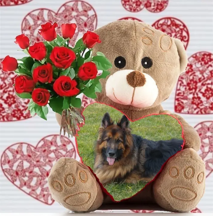 Condolence image of Dzień Dobry❤️❤️❤️mój Ukochany❤️❤️❤️❤️❤️❤️❤️Misieńku❤️❤️❤️