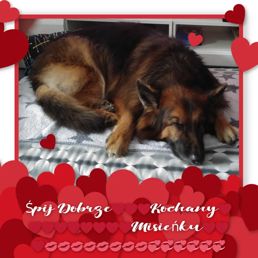 Condolence image of Dobrej Nocki❤️❤️❤️❤️❤️❤️mój Ukochany❤️❤️❤️❤️❤️❤️Misieńku❤️❤️❤️