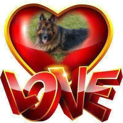 Condolence image of Dzień Dobry❤️❤️❤️mój Ukochany❤️❤️❤️❤️❤️❤️❤️Misieńku❤️❤️❤️