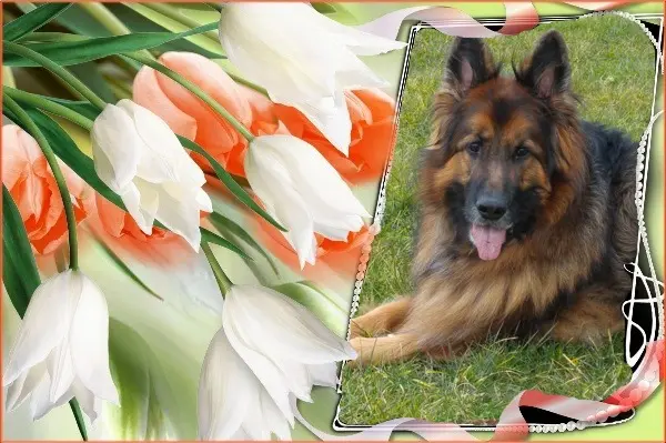 Condolence image of Dzień Dobry❤️❤️❤️mój Ukochany❤️❤️❤️❤️❤️❤️❤️Misieńku❤️❤️❤️