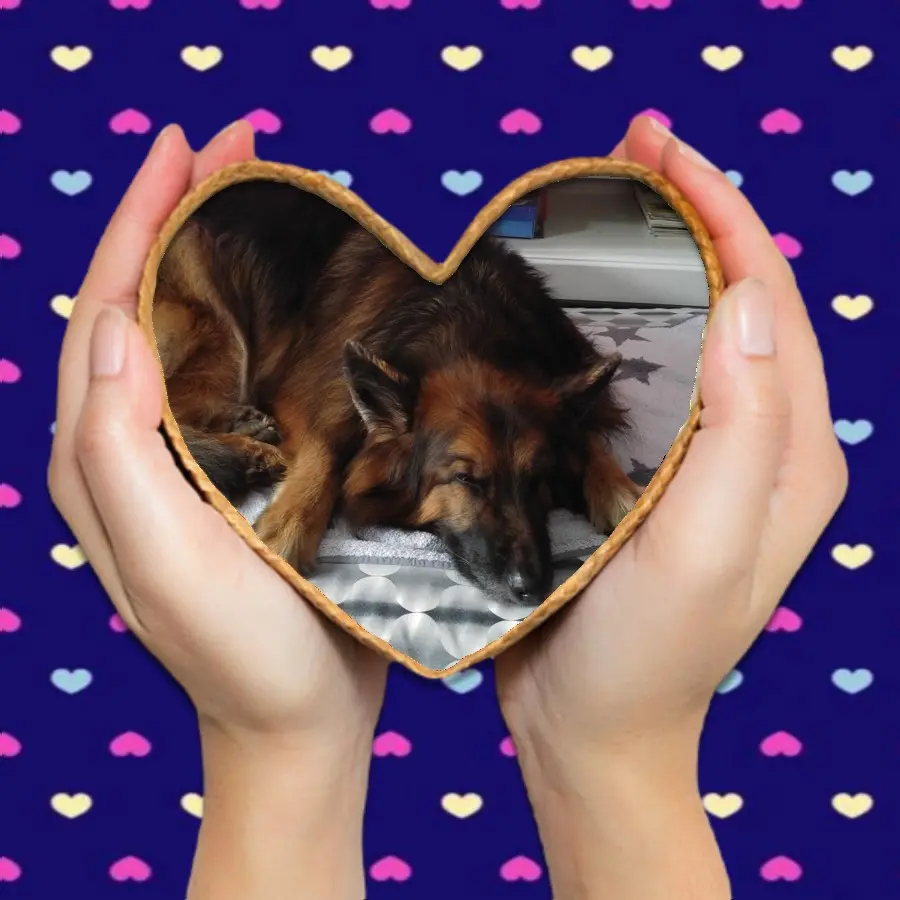 Condolence image of Dobrej Nocki❤️❤️❤️❤️❤️❤️mój Ukochany❤️❤️❤️❤️❤️❤️Misieńku❤️❤️❤️