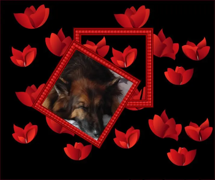 Condolence image of Dobrej Nocki❤️❤️❤️❤️❤️❤️mój Ukochany❤️❤️❤️❤️❤️❤️Misieńku❤️❤️❤️