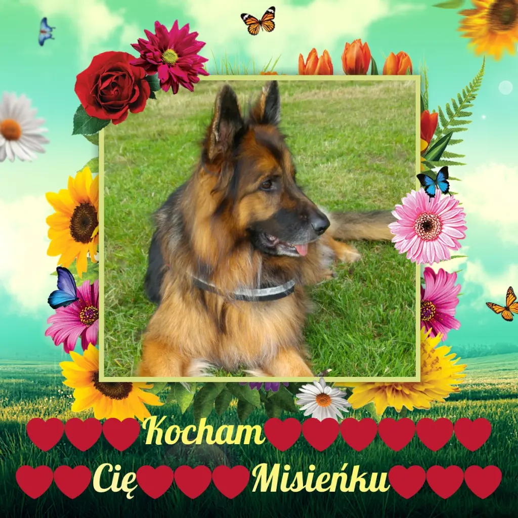 Condolence image of Dzień Dobry❤️❤️❤️mój Ukochany❤️❤️❤️❤️❤️❤️❤️Misieńku❤️❤️❤️