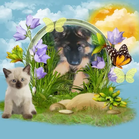 Condolence image of Dzień Dobry❤️❤️❤️mój Ukochany❤️❤️❤️❤️❤️❤️❤️Misieńku❤️❤️❤️