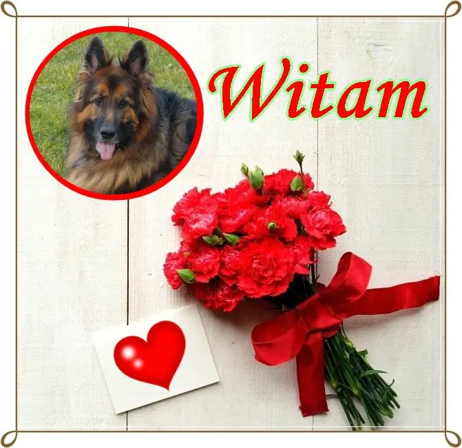 Condolence image of Dzień Dobry❤️❤️❤️mój Ukochany❤️❤️❤️❤️❤️❤️❤️Misieńku❤️❤️❤️