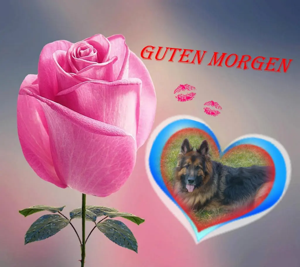 Condolence image of Dzień Dobry❤️❤️❤️mój Ukochany❤️❤️❤️❤️❤️❤️❤️Misieńku❤️❤️❤️