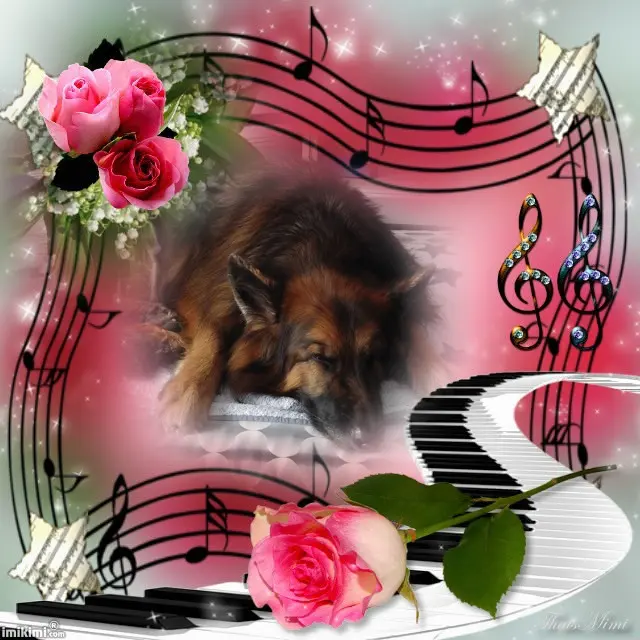Condolence image of Dobrej Nocki❤️❤️❤️❤️❤️❤️mój Ukochany❤️❤️❤️❤️❤️❤️Misieńku❤️❤️❤️