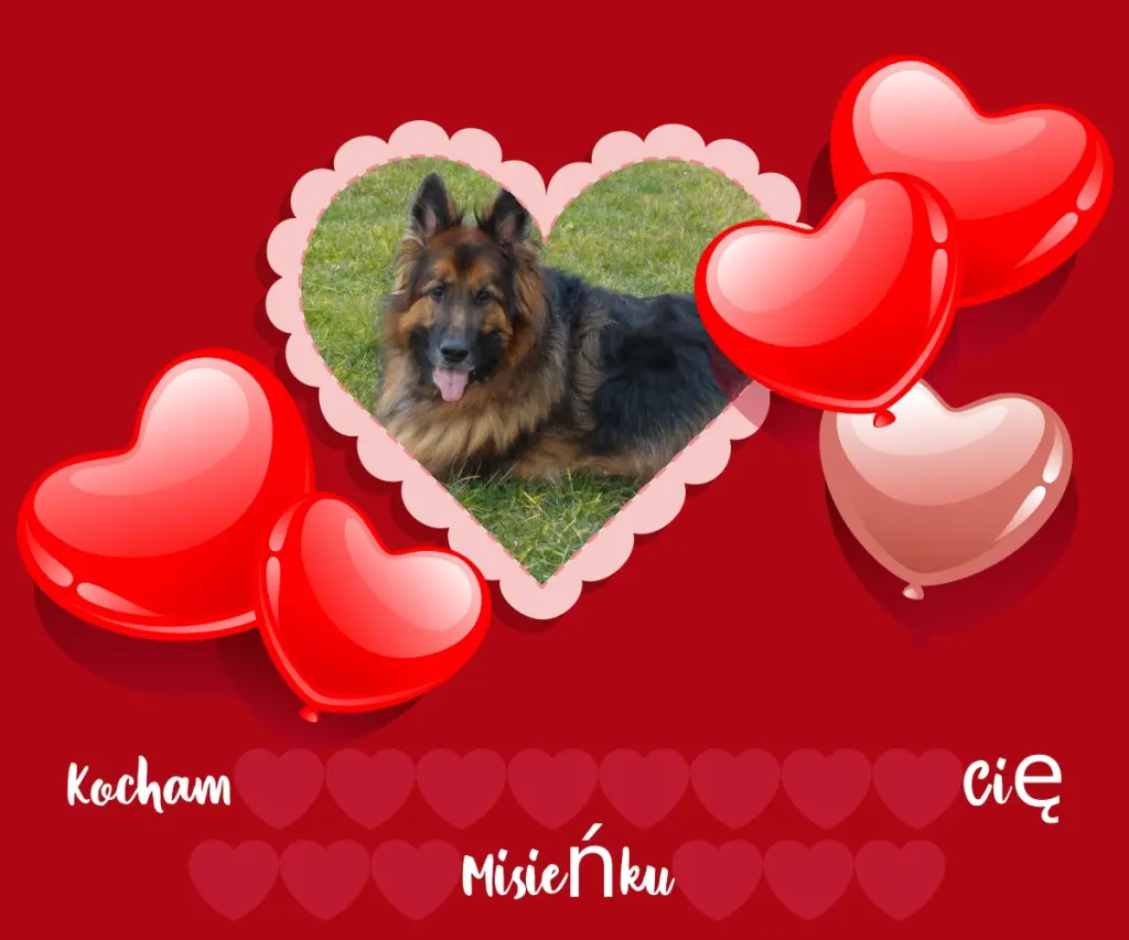 Condolence image of Dzień Dobry❤️❤️❤️mój Ukochany❤️❤️❤️❤️❤️❤️❤️Misieńku❤️❤️❤️