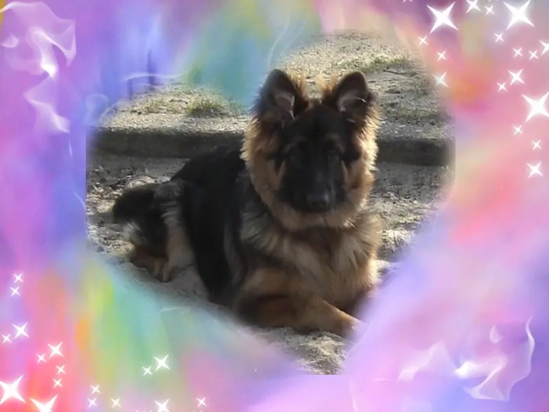 Condolence image of Dzień Dobry❤️❤️❤️mój Ukochany❤️❤️❤️❤️❤️❤️❤️Misieńku❤️❤️❤️