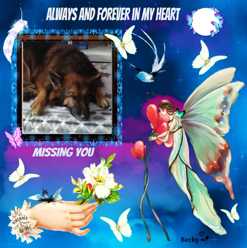 Condolence image of Dobrej Nocki❤️❤️❤️❤️❤️❤️mój Ukochany❤️❤️❤️❤️❤️❤️Misieńku❤️❤️❤️