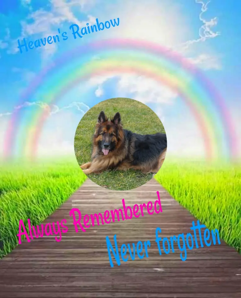 Condolence image of Dzień Dobry❤️❤️❤️mój Ukochany❤️❤️❤️❤️❤️❤️❤️Misieńku❤️❤️❤️