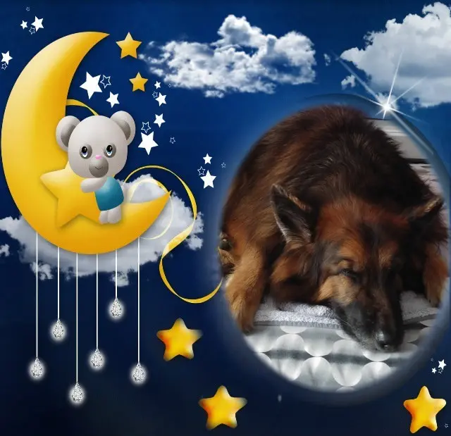 Condolence image of Dobrej Nocki❤️❤️❤️❤️❤️❤️mój Ukochany❤️❤️❤️❤️❤️❤️Misieńku❤️❤️❤️