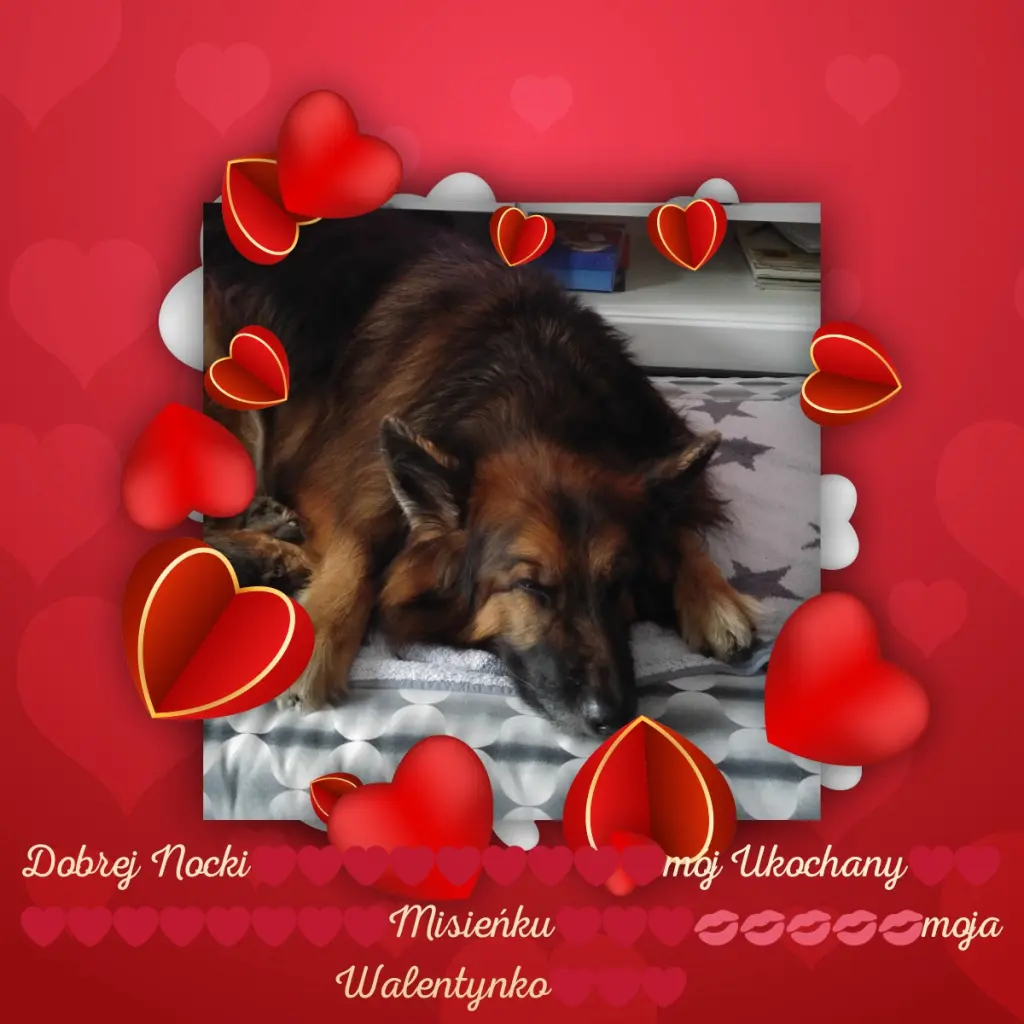 Condolence image of Dobrej Nocki❤️❤️❤️❤️❤️❤️mój Ukochany❤️❤️❤️❤️❤️❤️Misieńku❤️❤️❤️