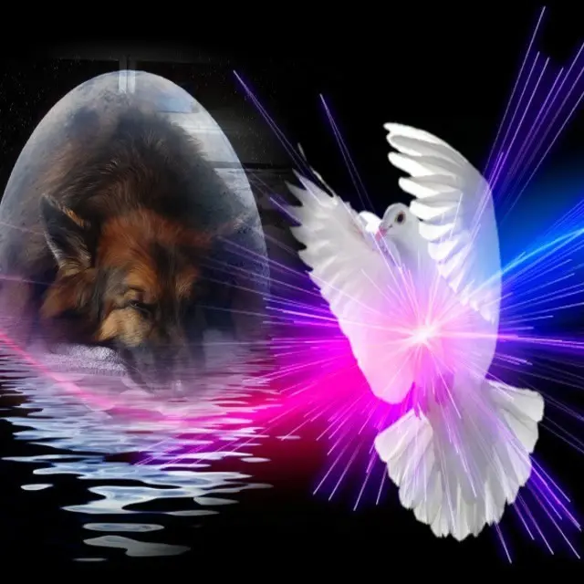 Condolence image of Dobrej Nocki❤️❤️❤️❤️❤️❤️mój Ukochany❤️❤️❤️❤️❤️❤️Misieńku❤️❤️❤️