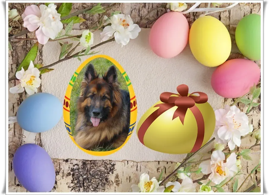 Condolence image of Dzień Dobry❤️❤️❤️mój Ukochany❤️❤️❤️❤️❤️❤️❤️Misieńku❤️❤️❤️
