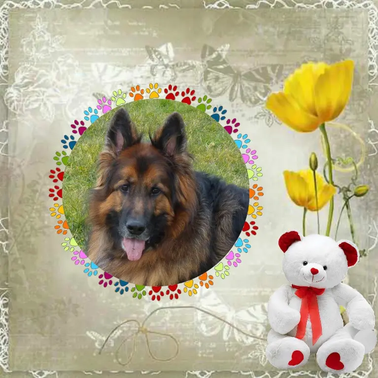 Condolence image of Dzień Dobry❤️❤️❤️mój Ukochany❤️❤️❤️❤️❤️❤️❤️Misieńku❤️❤️❤️