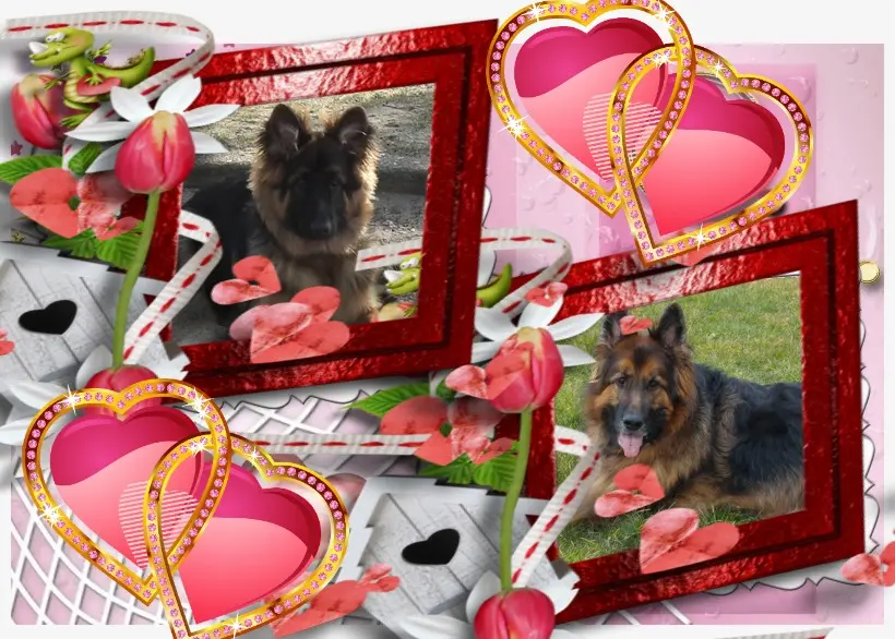Condolence image of Dzień Dobry❤️❤️❤️mój Ukochany❤️❤️❤️❤️❤️❤️❤️Misieńku❤️❤️❤️