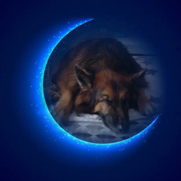 Condolence image of Dobrej Nocki❤️❤️❤️❤️❤️❤️mój Ukochany❤️❤️❤️❤️❤️❤️Misieńku❤️❤️❤️