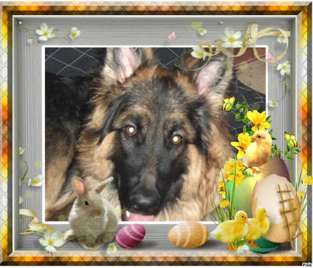 Condolence image of Patricia mit Bunny ❤