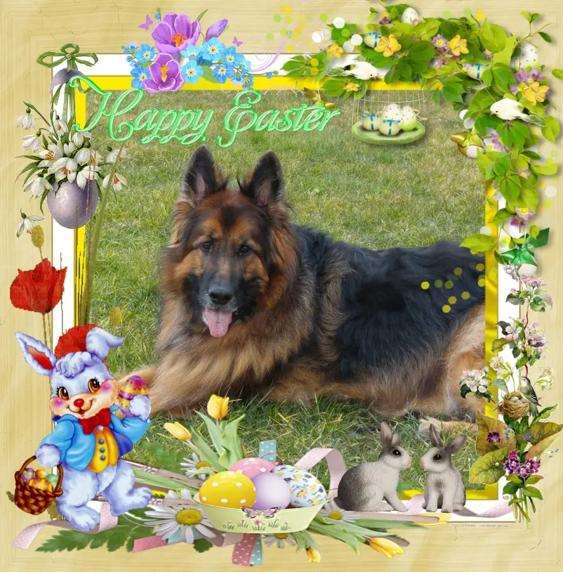 Condolence image of Dzień Dobry❤️❤️❤️mój Ukochany❤️❤️❤️❤️❤️❤️❤️Misieńku❤️❤️❤️