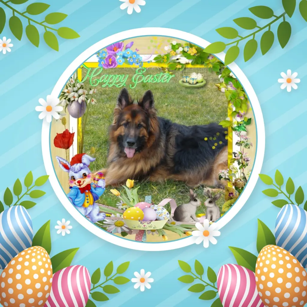 Condolence image of Dzień Dobry❤️❤️❤️mój Ukochany❤️❤️❤️❤️❤️❤️❤️Misieńku❤️❤️❤️