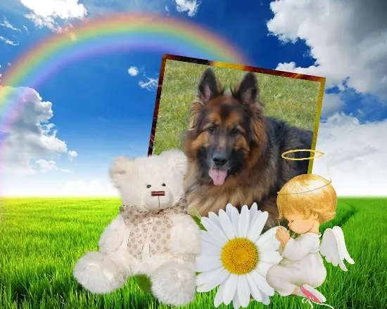 Condolence image of Dzień Dobry❤️❤️❤️mój Ukochany❤️❤️❤️❤️❤️❤️❤️Misieńku❤️❤️❤️