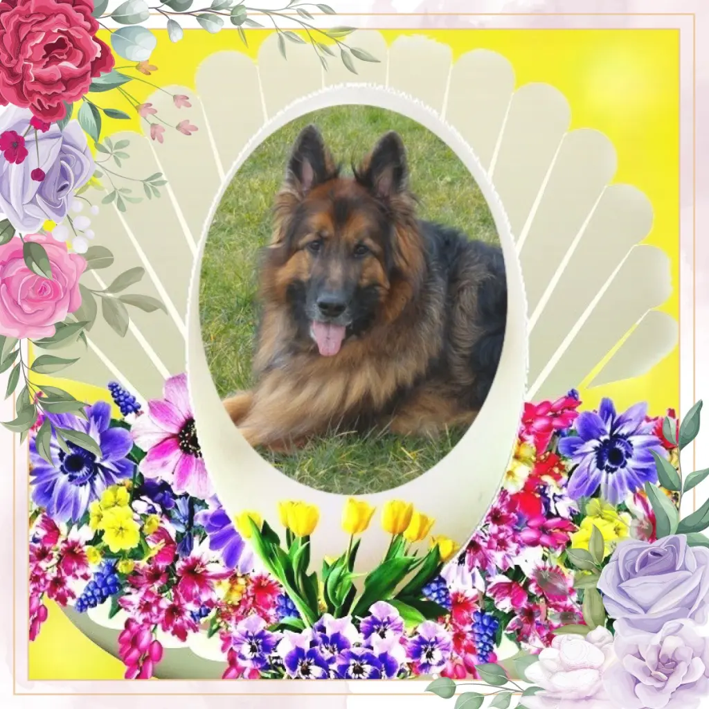 Condolence image of Dzień Dobry❤️❤️❤️mój Ukochany❤️❤️❤️❤️❤️❤️❤️Misieńku❤️❤️❤️