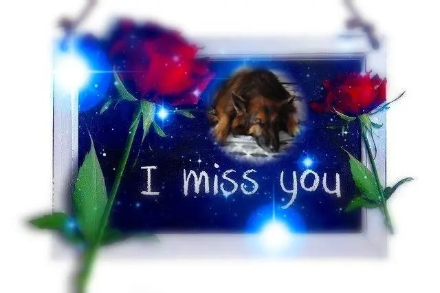 Condolence image of Dobrej Nocki❤️❤️❤️❤️❤️❤️mój Ukochany❤️❤️❤️❤️❤️❤️Misieńku❤️❤️❤️