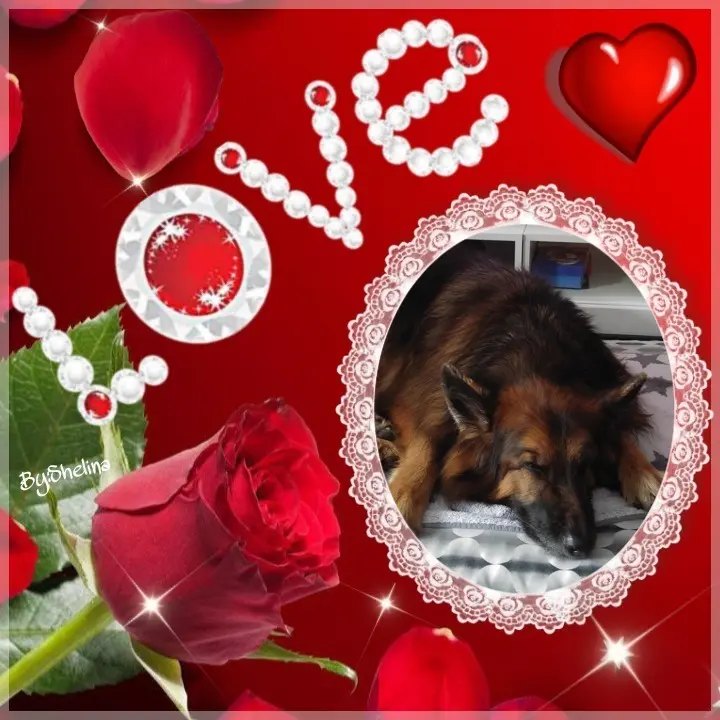 Condolence image of Dobrej Nocki❤️❤️❤️❤️❤️❤️mój Ukochany❤️❤️❤️❤️❤️❤️Misieńku❤️❤️❤️