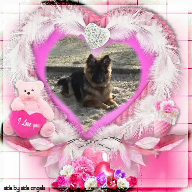 Condolence image of Dzień Dobry❤️❤️❤️mój Ukochany❤️❤️❤️❤️❤️❤️❤️Misieńku❤️❤️❤️
