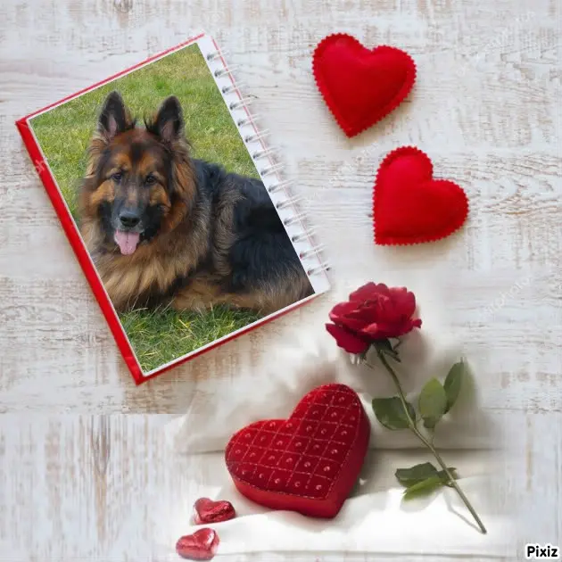 Condolence image of Dzień Dobry❤️❤️❤️mój Ukochany❤️❤️❤️❤️❤️❤️❤️Misieńku❤️❤️❤️