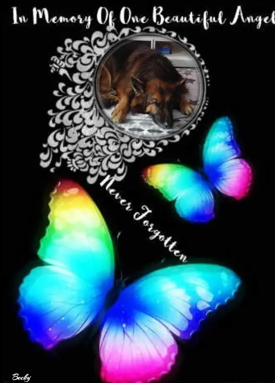 Condolence image of Dobrej Nocki❤️❤️❤️❤️❤️❤️mój Ukochany❤️❤️❤️❤️❤️❤️Misieńku❤️❤️❤️