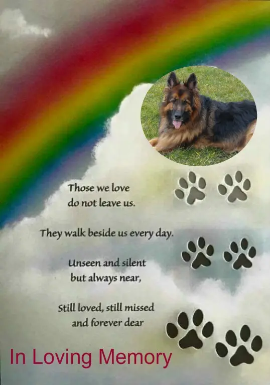 Condolence image of Mój Najdroższy❤️❤️❤️❤️❤️❤️❤️❤️Misieńku❤️❤️❤️