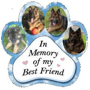 Condolence image of Kochany❤️❤️❤️Misiu❤️❤️❤️