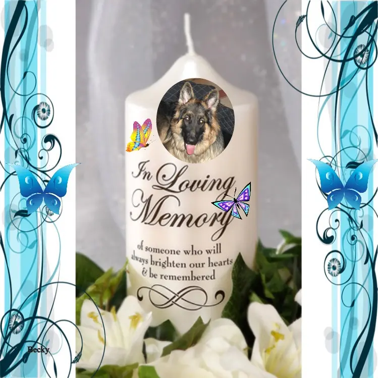Condolence image of Kochany❤️❤️❤️Misiu❤️❤️❤️