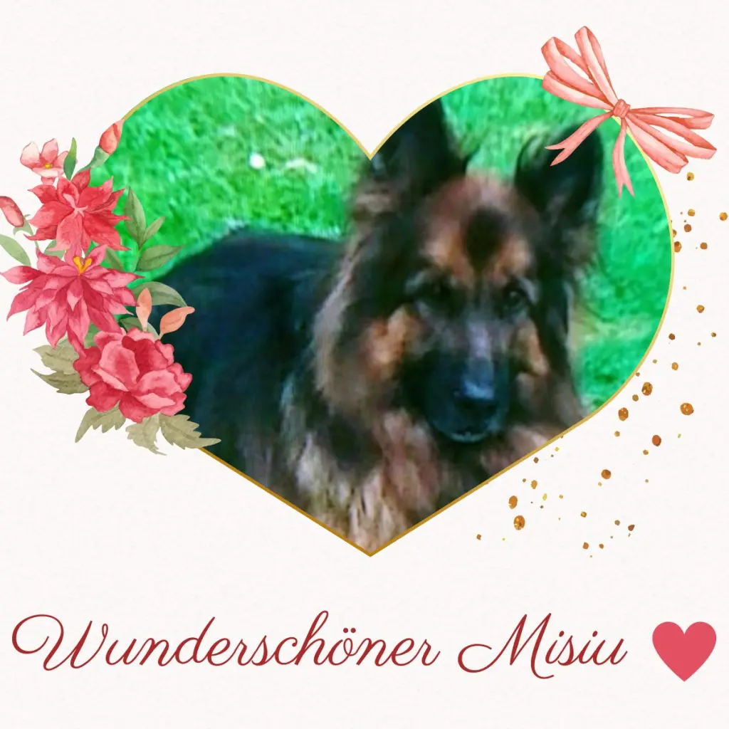 Condolence image of Andrea mit Minki im ♥️